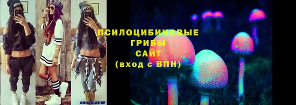 стаф Алексеевка