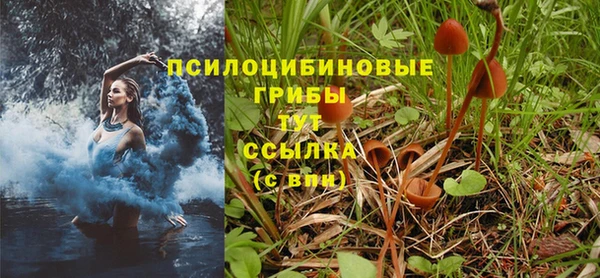 ГАЛЛЮЦИНОГЕННЫЕ ГРИБЫ Алексин
