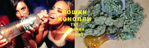 ГАЛЛЮЦИНОГЕННЫЕ ГРИБЫ Алексин