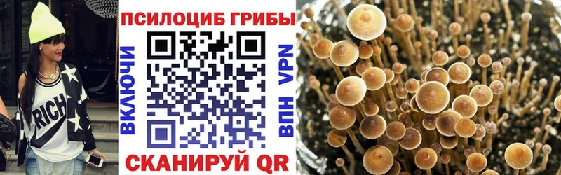 площадка как зайти  Алушта  Псилоцибиновые грибы MAGIC MUSHROOMS 